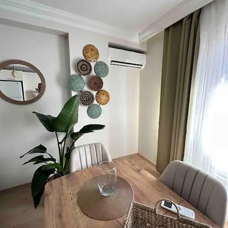 Dublex Roof With Ac, Perfect Location